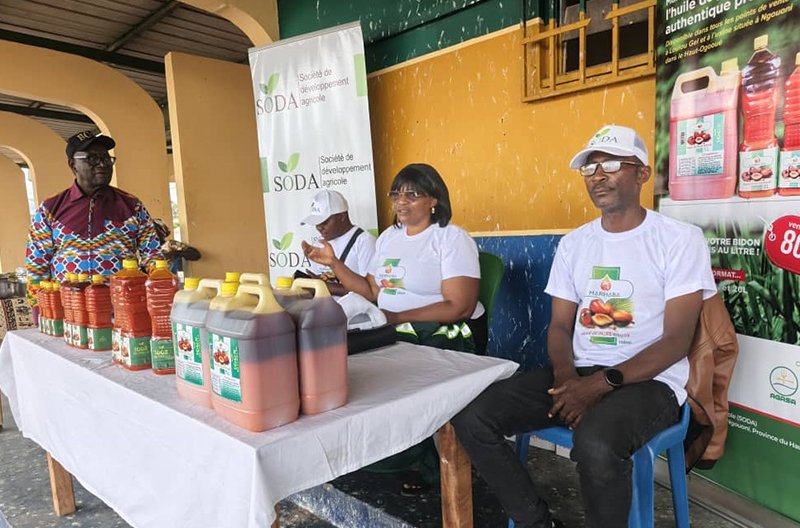 Organically grow the holistic world view